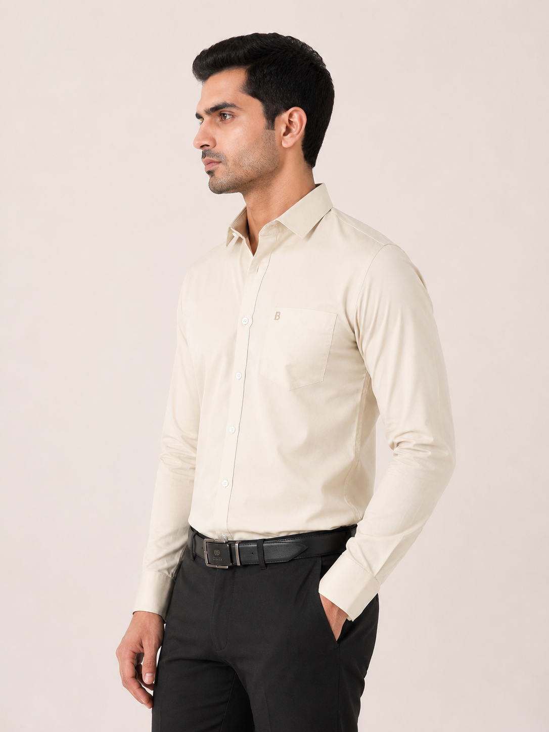 Cotton Solid shirt